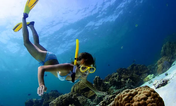 Snorkeling